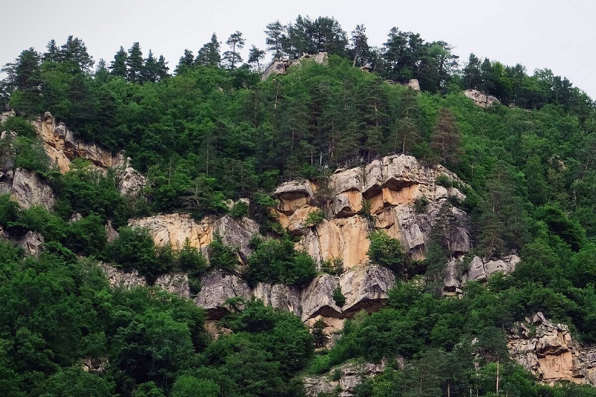 Хамышки базы отдыха фото